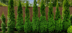 Der Gartenzaun als Gestaltungselement