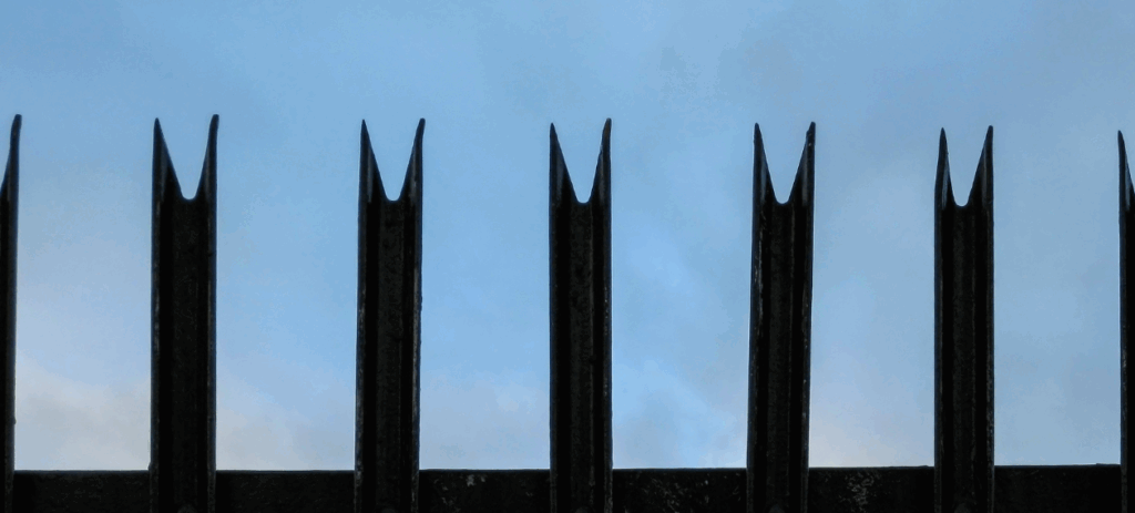 Doppelstabmatten 6-5-6 vs 8-6-8 – welche Drahtstärke passt zu Ihrem Projekt? metalzaune