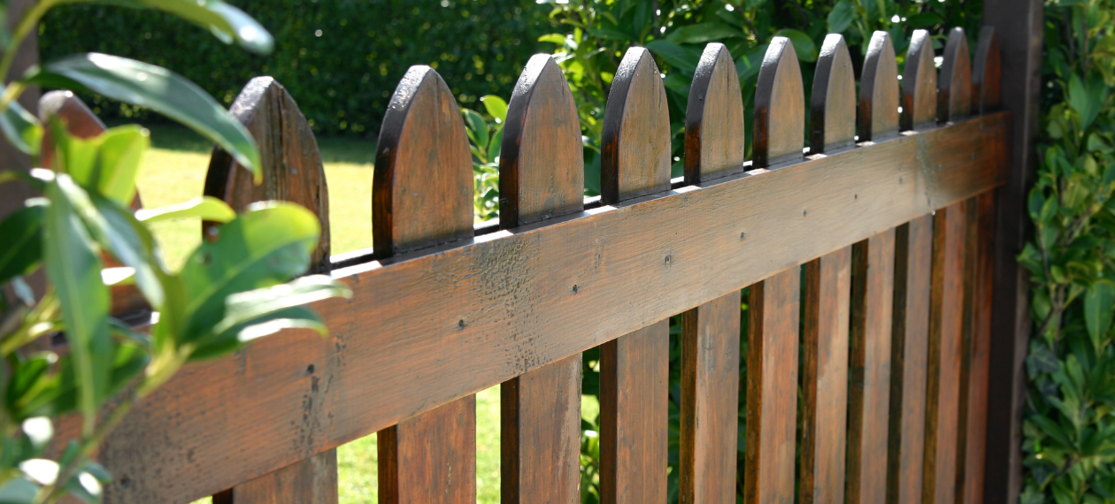 Womit soll man den Zaun verdecken?